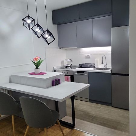 Appartamento Apartman Ns Private Parking Novi Sad Esterno foto