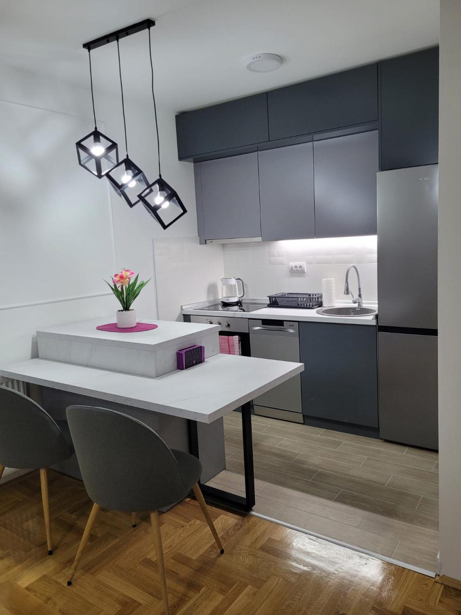 Appartamento Apartman Ns Private Parking Novi Sad Esterno foto