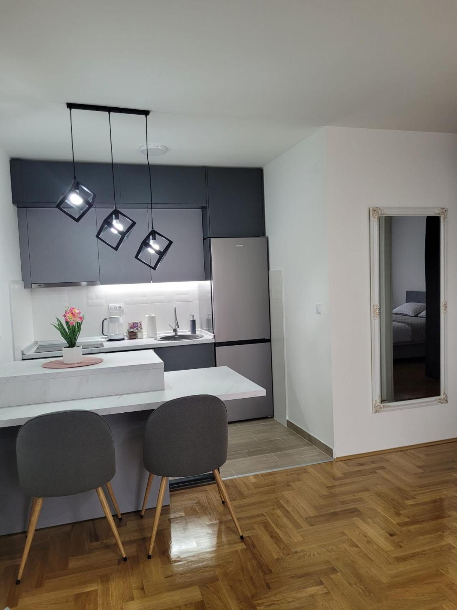 Appartamento Apartman Ns Private Parking Novi Sad Esterno foto