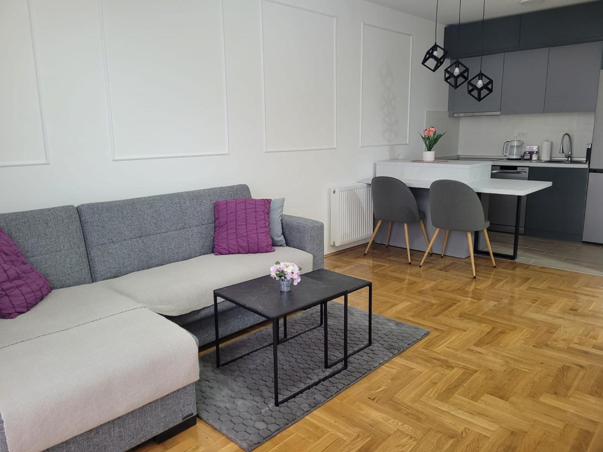 Appartamento Apartman Ns Private Parking Novi Sad Esterno foto